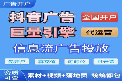 竞价广告与自然搜索的结合策略：XX网站的案例分析